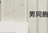 男同胞是什么意思