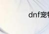 dnf宠物宝珠从哪弄