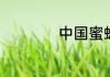 中国蜜蜡的产地介绍