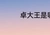 卓大王是哪个国家的牌子