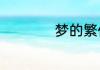 梦的繁体字怎么写啊