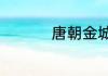 唐朝金城公主结局如何