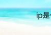 ip是什么意思啊