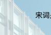 宋词是什么意思