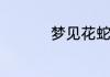 梦见花蛇是什么意思啊
