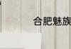 合肥魅族专卖店在那里