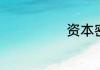 资本密集是什么