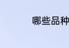 哪些品种的鹦鹉最好养