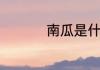 南瓜是什么时候种植的