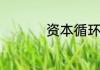 资本循环的意思是什么