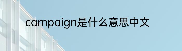 campaign是什么意思中文