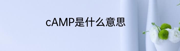 cAMP是什么意思