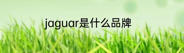 jaguar是什么品牌