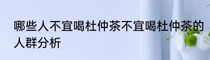 哪些人不宜喝杜仲茶不宜喝杜仲茶的人群分析