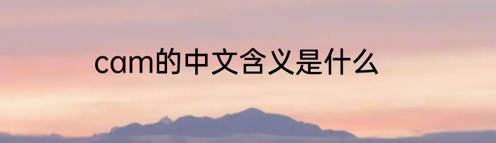 cam的中文含义是什么