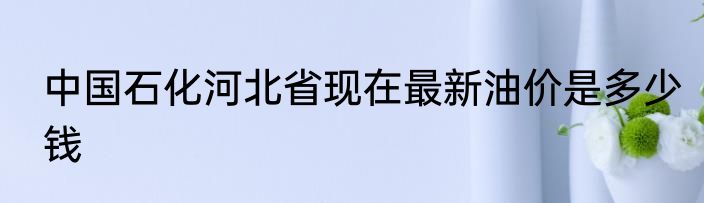 中国石化河北省现在最新油价是多少钱