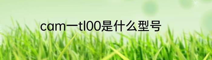 cam一tl00是什么型号