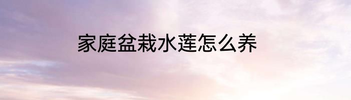 家庭盆栽水莲怎么养