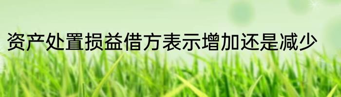 资产处置损益借方表示增加还是减少