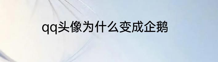 qq头像为什么变成企鹅