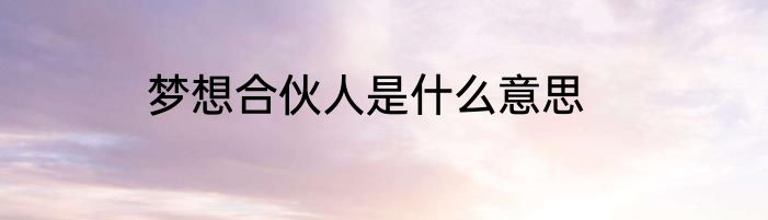 梦想合伙人是什么意思