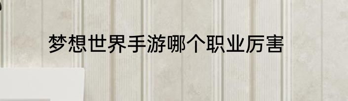梦想世界手游哪个职业厉害