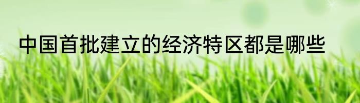 中国首批建立的经济特区都是哪些