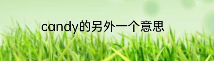 candy的另外一个意思