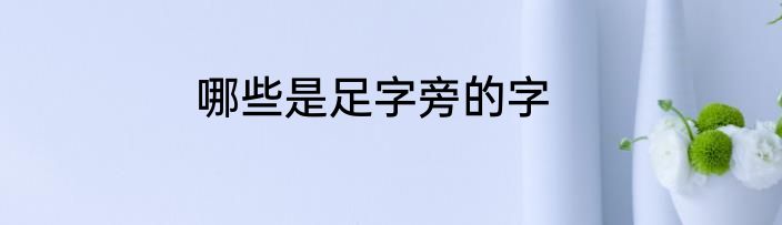 哪些是足字旁的字