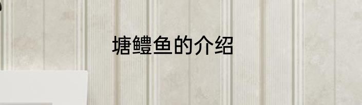 塘鳢鱼的介绍