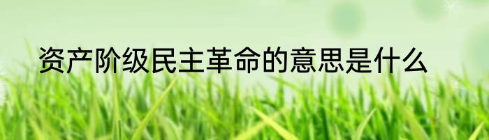 资产阶级民主革命的意思是什么