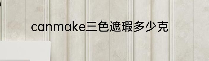 canmake三色遮瑕多少克