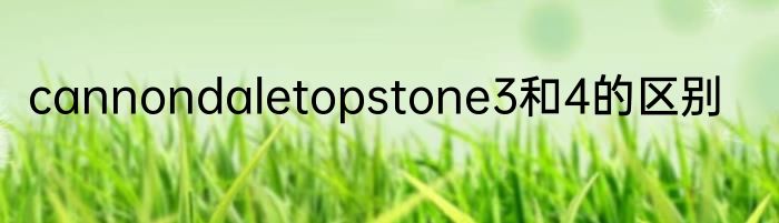 cannondaletopstone3和4的区别