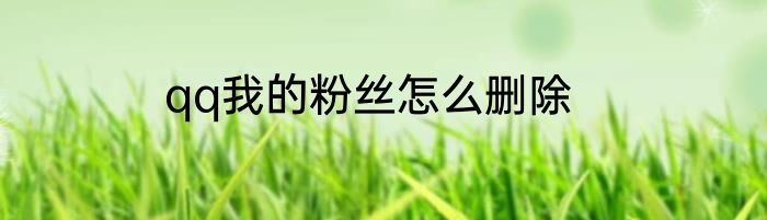 qq我的粉丝怎么删除