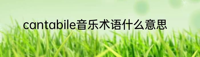 cantabile音乐术语什么意思