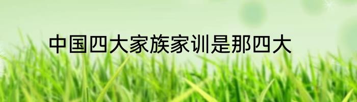 中国四大家族家训是那四大