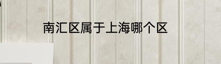 南汇区属于上海哪个区
