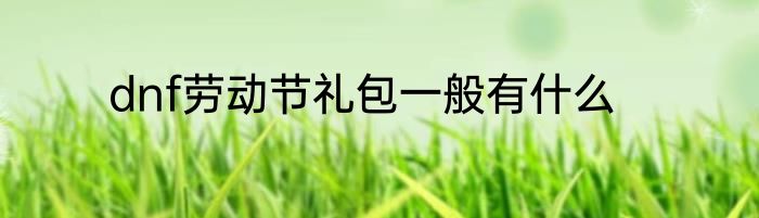 dnf劳动节礼包一般有什么