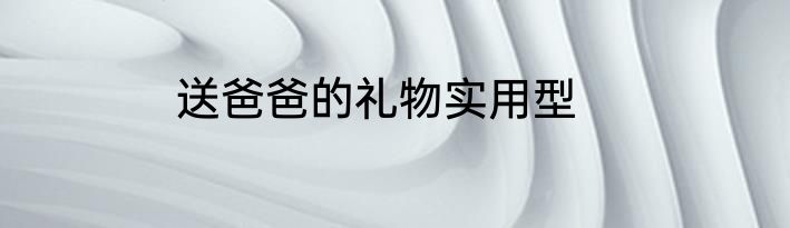 送爸爸的礼物实用型