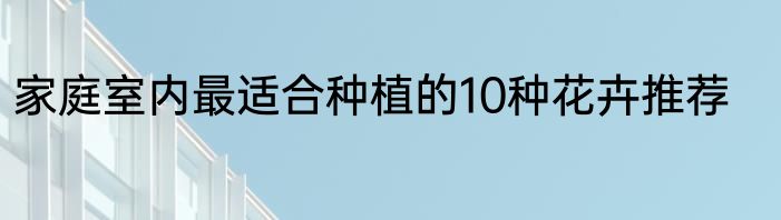 家庭室内最适合种植的10种花卉推荐