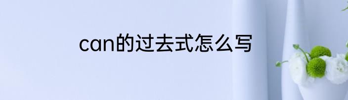 can的过去式怎么写