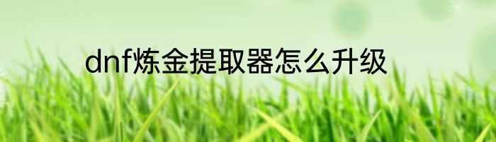 dnf炼金提取器怎么升级