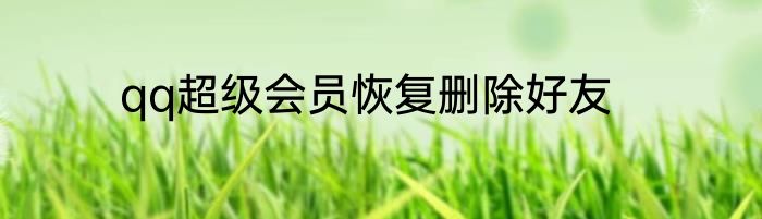 qq超级会员恢复删除好友
