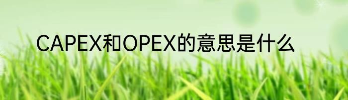 CAPEX和OPEX的意思是什么