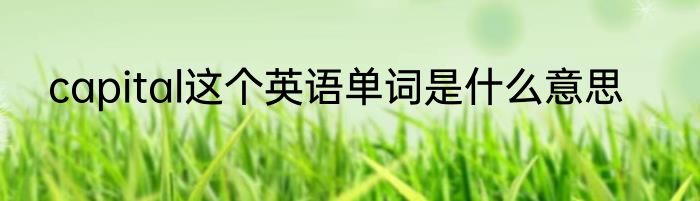 capital这个英语单词是什么意思