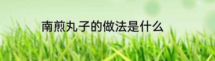 南煎丸子的做法是什么