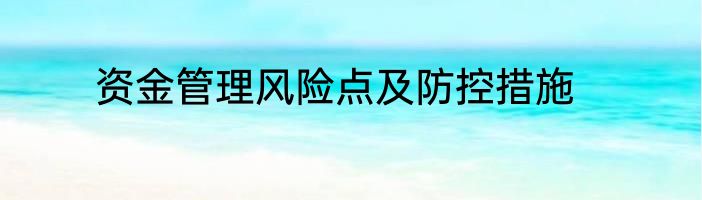 资金管理风险点及防控措施