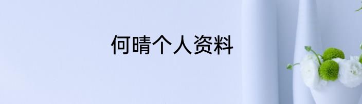 何晴个人资料