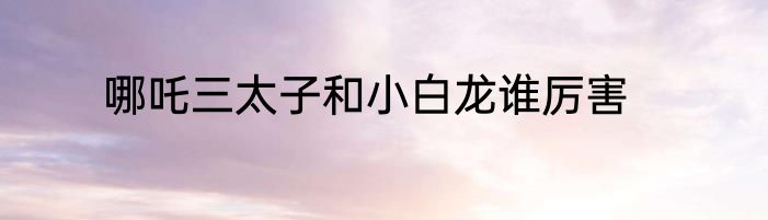 哪吒三太子和小白龙谁厉害