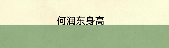 何润东身高